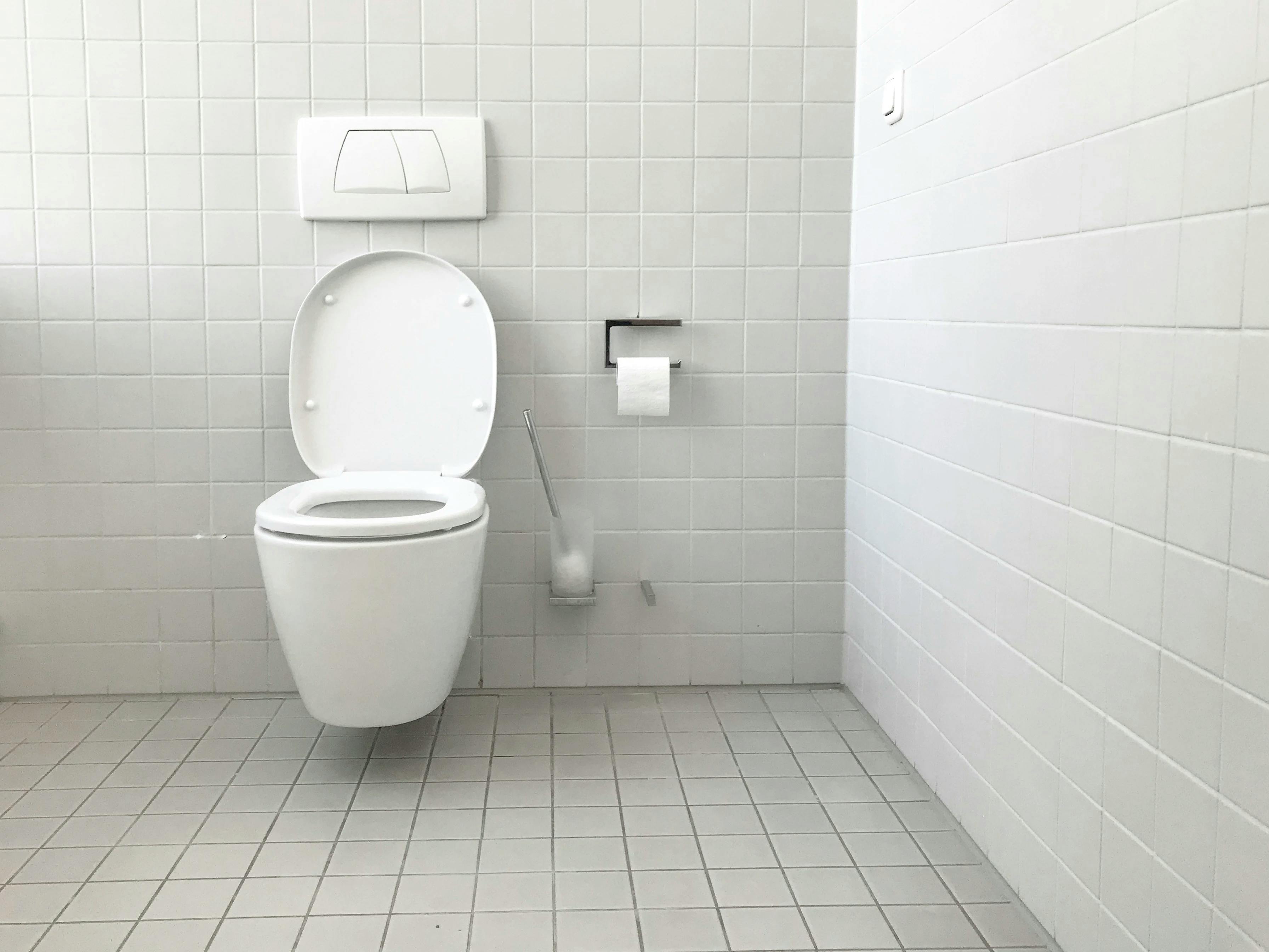 winseness plumbing co, plumbing experts, and clear drain installed commercial toilet